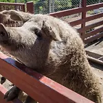 Tanyahaz-oeregtoelgy Vendeghaz Farmház *