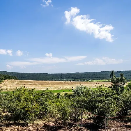 Agroturismo Tanyahaz-oeregtoelgy Vendeghaz Szár